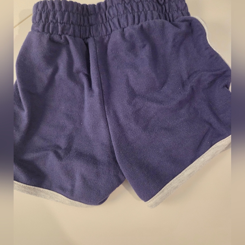 Bluey - Bluey and Bingo Short Sleeve Tee And Shorts - Red & Blue Stripes - 3T - Picture 6 of 7